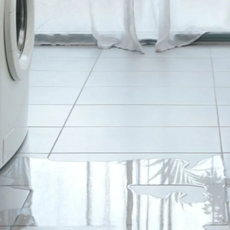 Appliance Leak Cleanup in Bethalto, IL