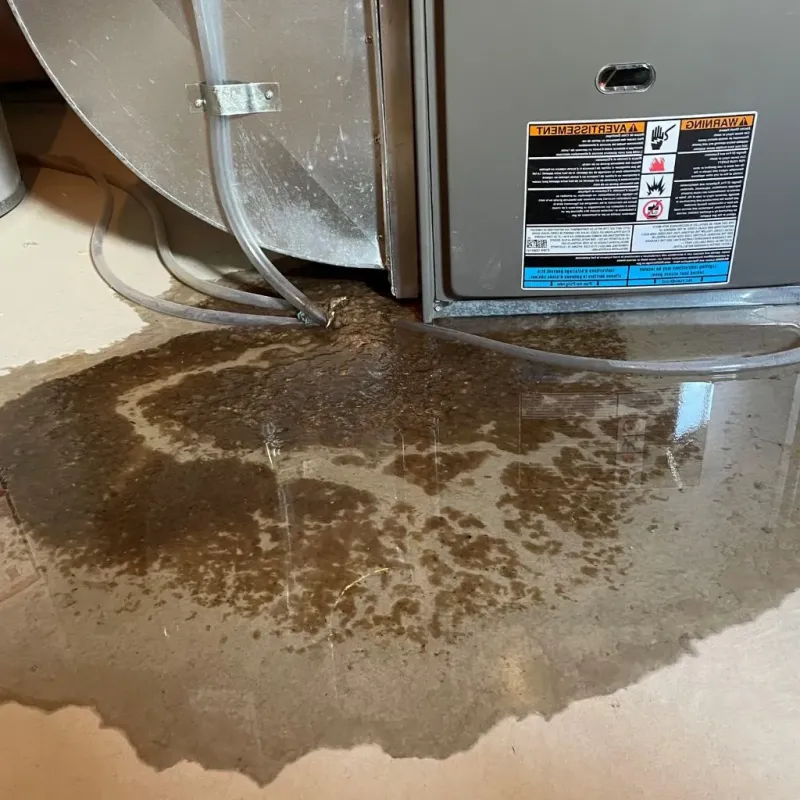 Pipe Burst and Leak Restoration in Bethalto, IL
