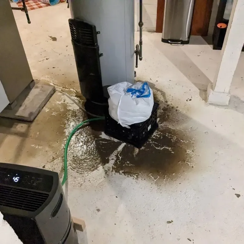 Sewage Backup Cleanup Service in Bethalto, IL